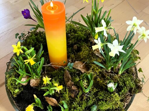 „Übergange“ Tanz-Wochenende des FV in Thun (CH) “Transitions” Dance Weekend Organized by the FV in Thun (Switzerland)