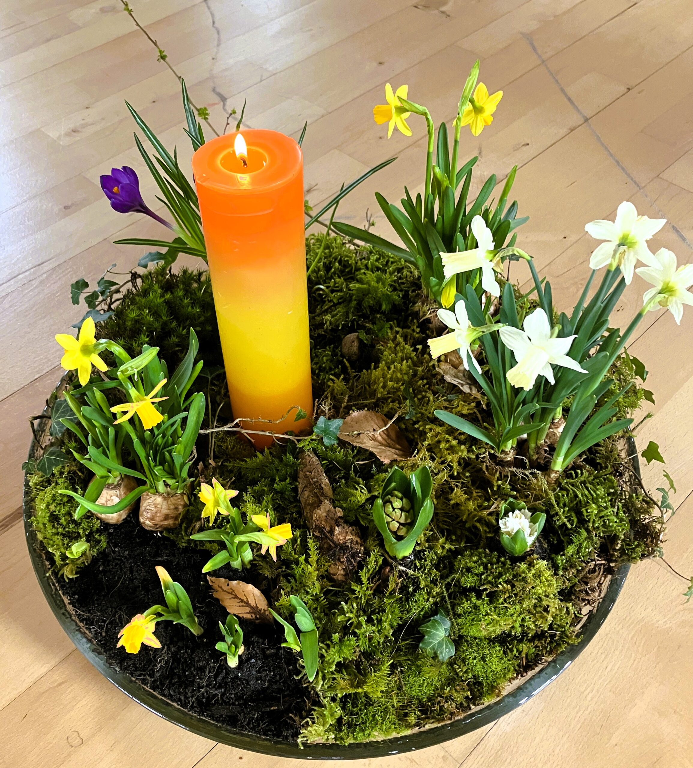 "Übergänge" Dansweekend van de FV in Thun (CH)