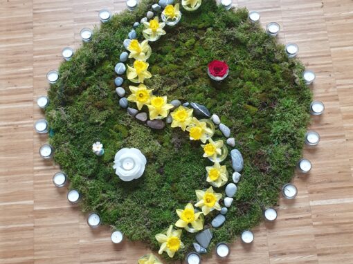 Tanztag „Übergänge“ im Rheinland "Transitions" Dance Day in the Rhineland