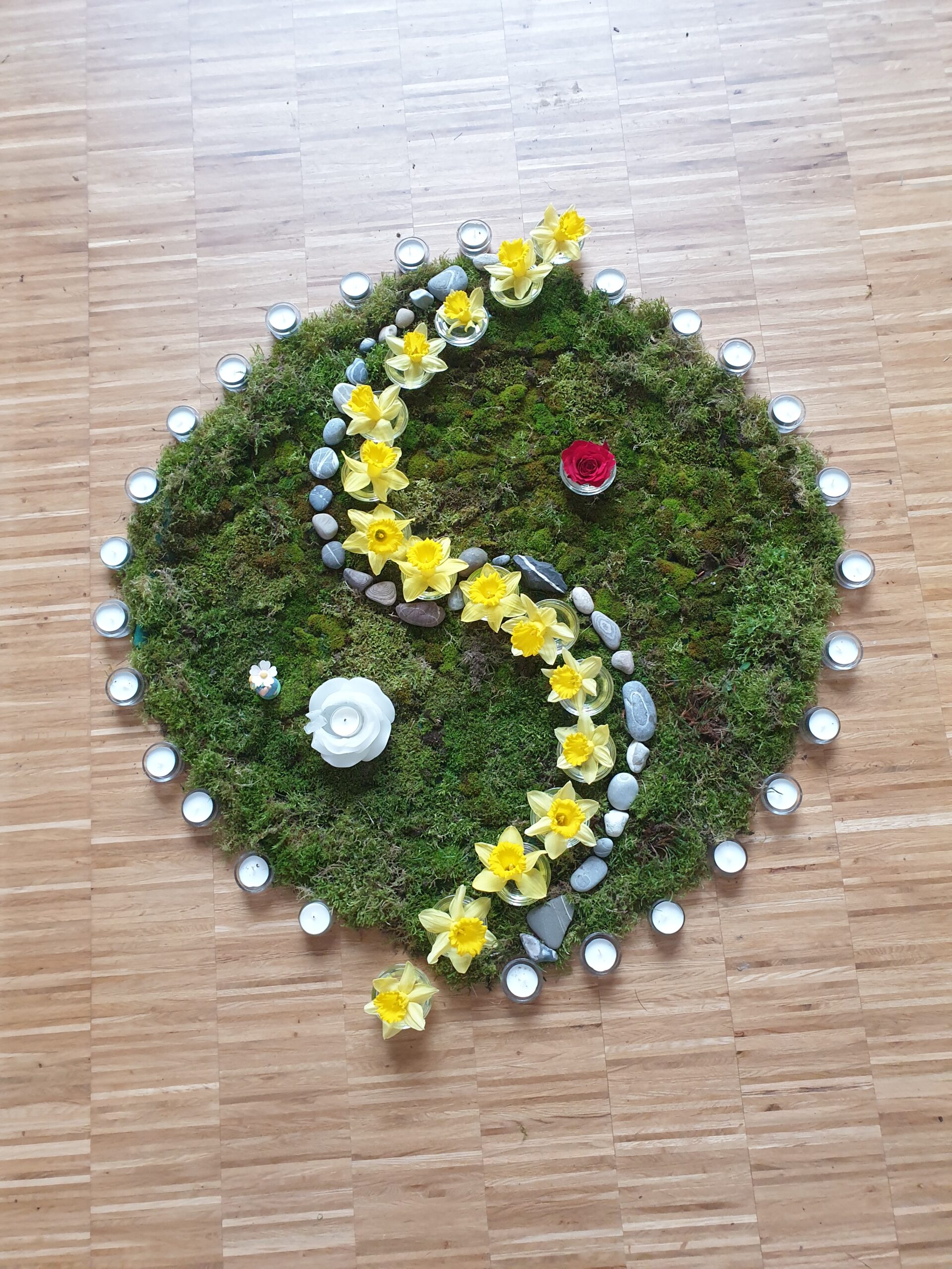 Tanztag „Übergänge“ im Rheinland