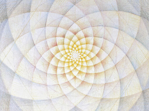 Neue Schriftführerin im Vorstandsteam New Secretary on the Executive Board